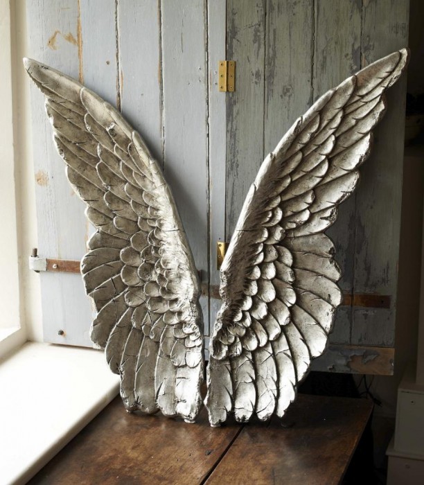Angel-Wings-Parlane