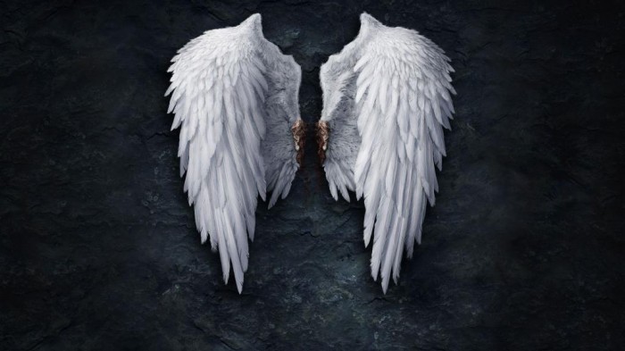 broken-angel-wings-digital-art-hd-wallpaper-1920x1080-1456